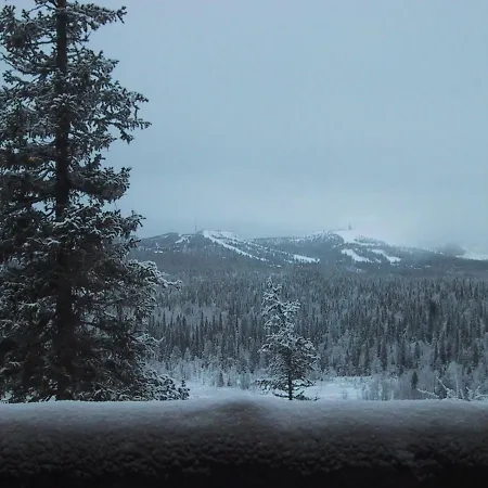 Дом отдыха Rukajarven Kelopirtit Cottages Рука